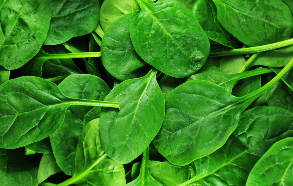 Spinach