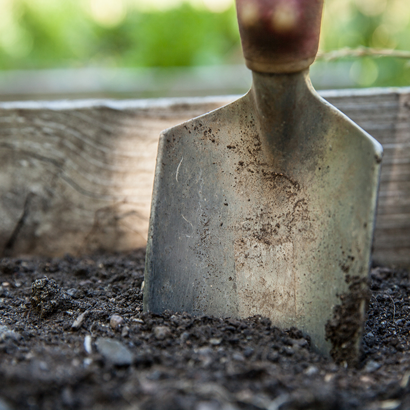 Gardeners Plant in Soil Not Dirt