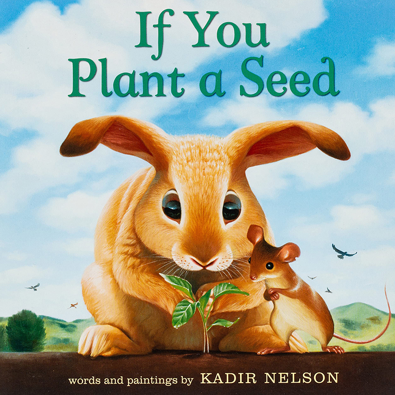 If you Plant a Seed