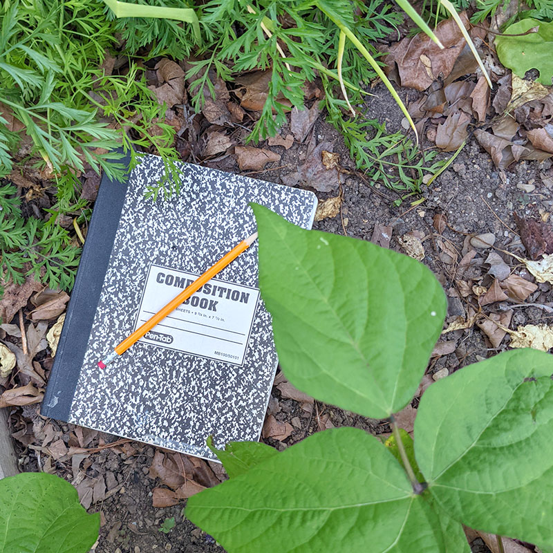 Writing in the Garden