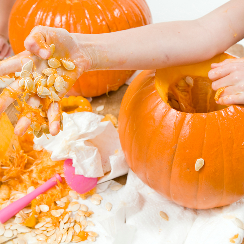 How Many Seeds in a Pumpkin?