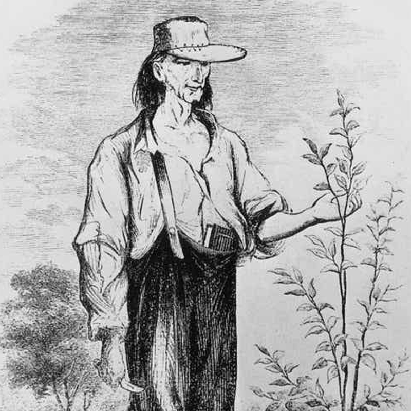 Myth of Johnny Appleseed